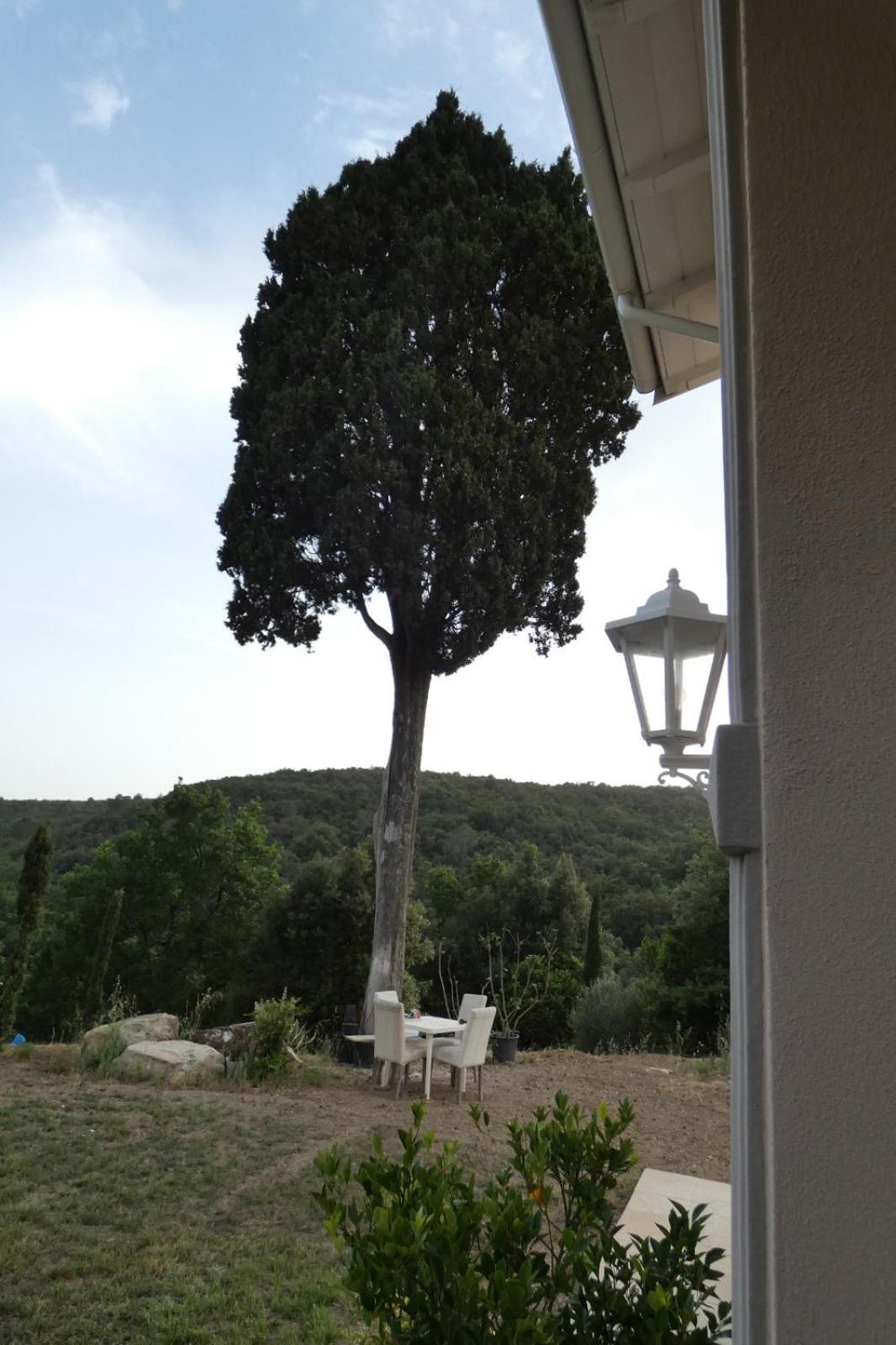 كويرشانيلا B&B Il Vecchio Molino المظهر الخارجي الصورة