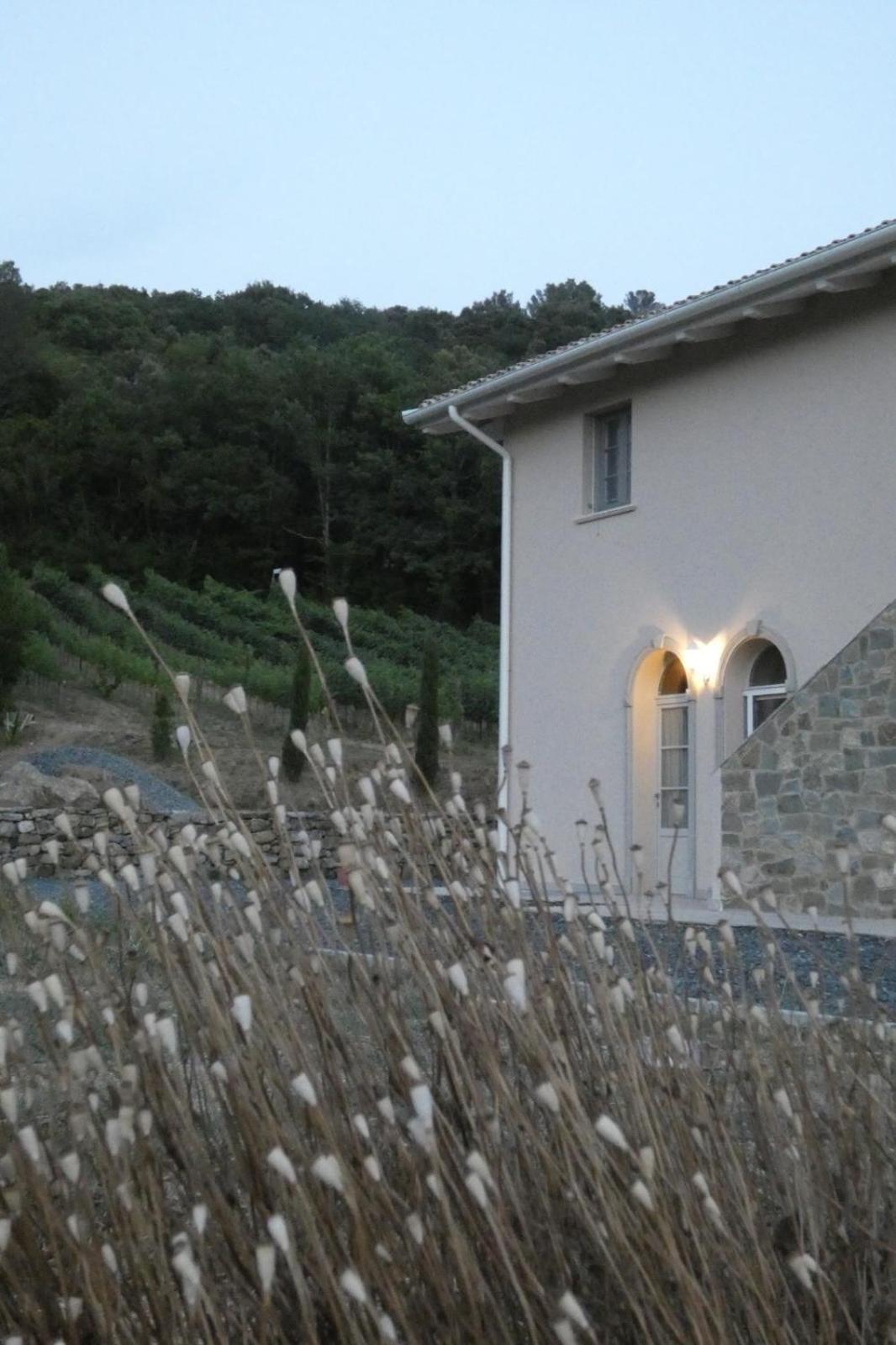 كويرشانيلا B&B Il Vecchio Molino المظهر الخارجي الصورة